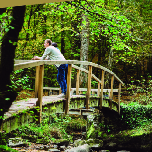 Carte touristique de l'Yonne 2020